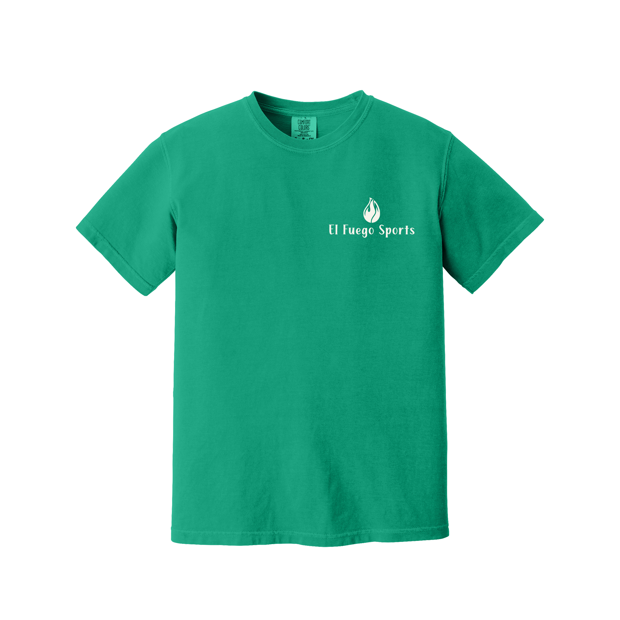 Wast-ED Mangagment Open Comfort Colors T-Shirt