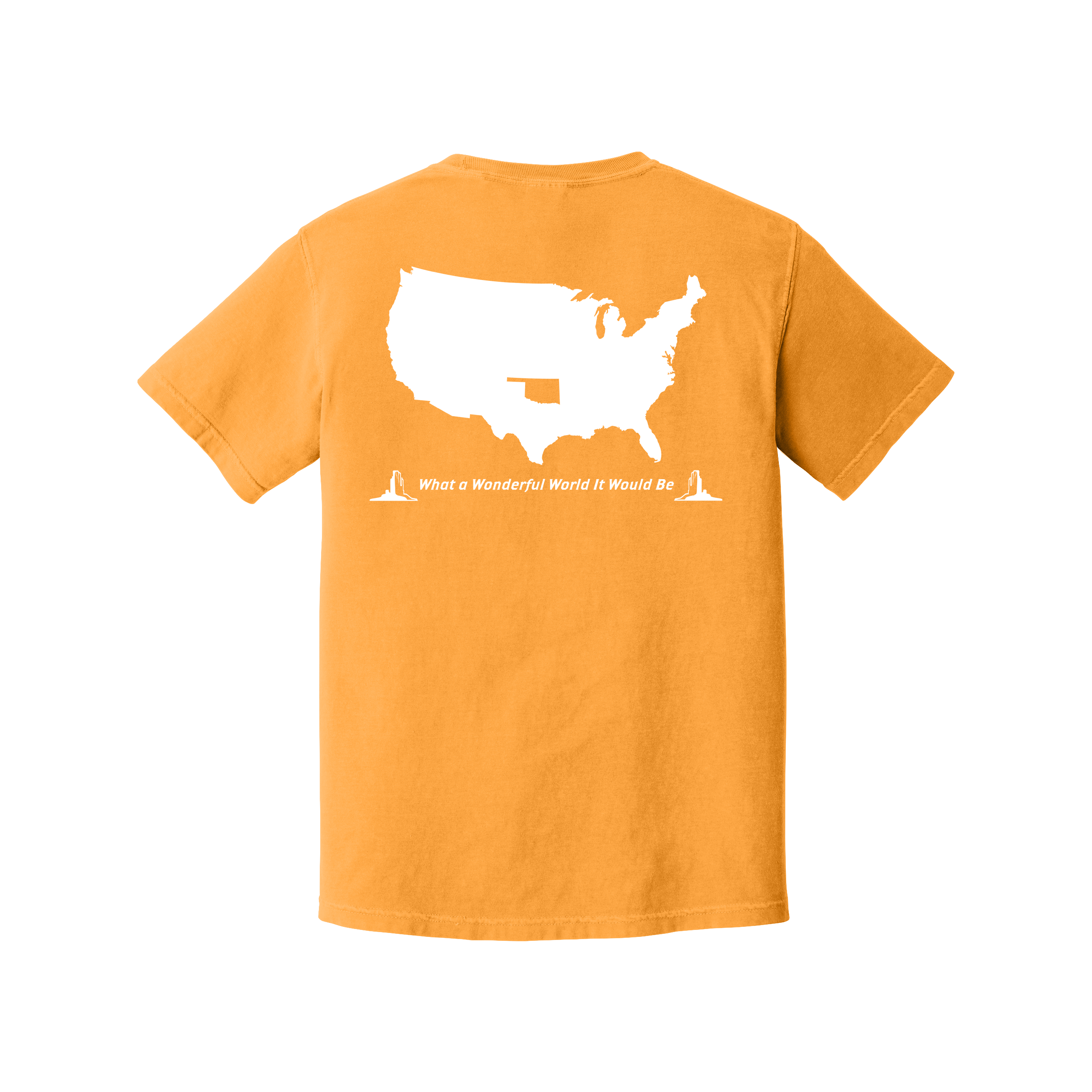 Texas What a Wonderful World T-Shirt