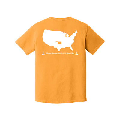 Texas What a Wonderful World T-Shirt