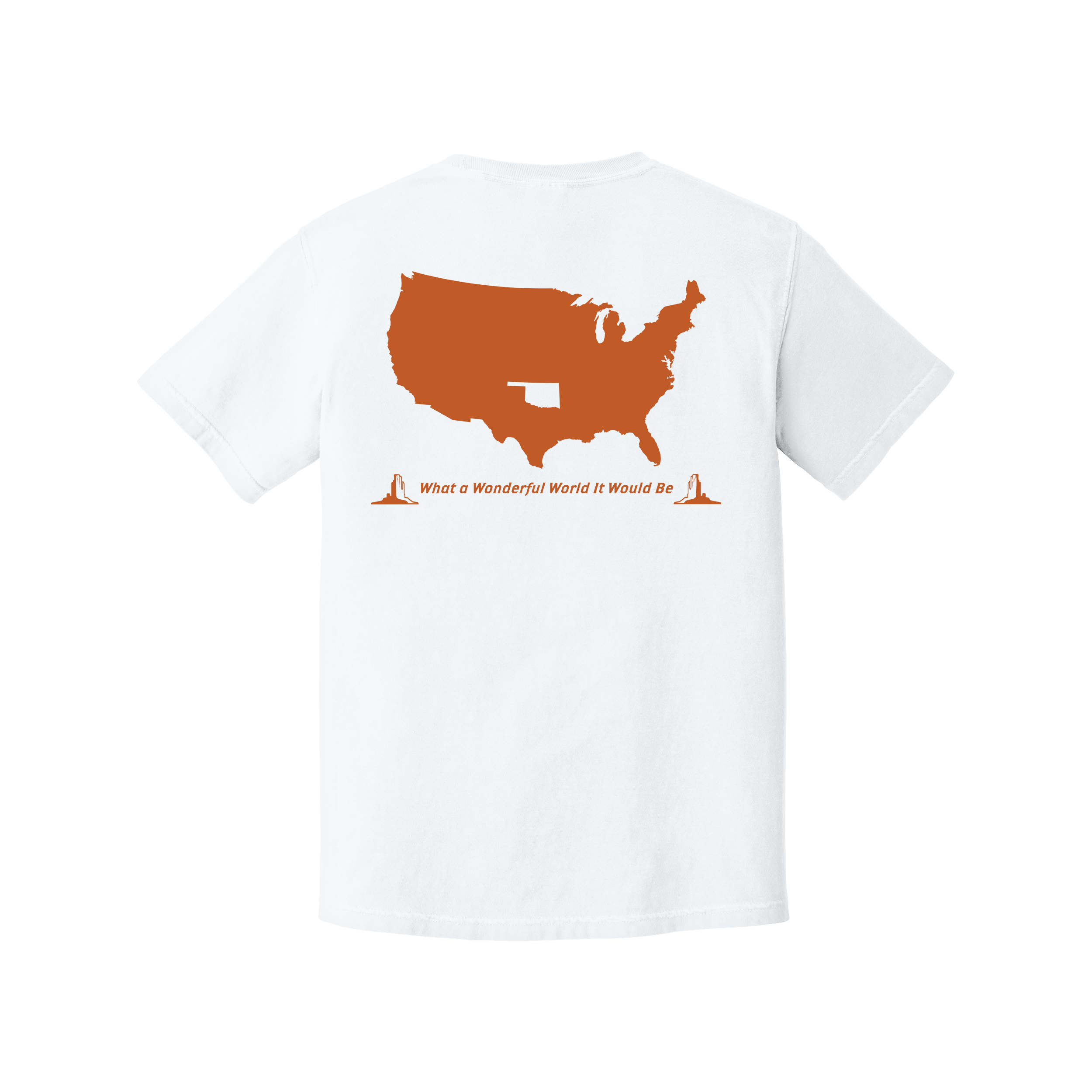 Texas What a Wonderful World T-Shirt